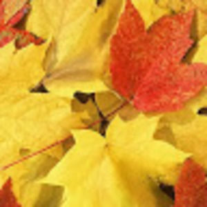 Meet your Posher, Katarzyna